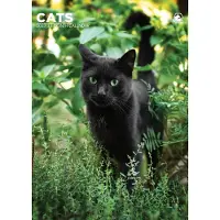 CalendarsRUs Katten A3 Kalender 2027