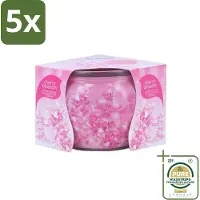 At Home 5 x - Scents - Geurkaars - Cherry Blossom - 70 g - Grootverpakking - Geurkaars - Kersenbloesem - Thuisgeur - Rustgevende Geur - Ontspanning