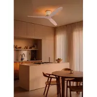 Create - Plafondventilator stil 40W (Ø132cm) - Sfeerlicht LED - Afstandsbediening - 6 snelheden - Programmeerbaar - WIND CALM CUSTOM RATTAN