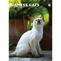CalendarsRUs Siamees A3 Kalender 2027