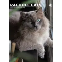 CalendarsRUs Ragdoll A3 Kalender 2027