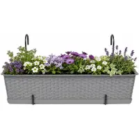 Prosperplast plantenbak Buster - taupe - rechthoek - met twee ophangbeugels - 60 x 17 x 15 cm - kunststof - bloembakken - potten