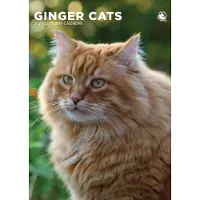 CalendarsRUs Rode Katten A3 Kalender 2027