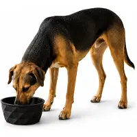 Belviona Keramische voerbak hond, antislip & vaatwasserbestendig, 1100 ml mat zwart