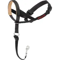 Company of animals Halti Hondentraining Anti-Pull Training Halster Maat 4 Zwart