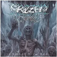 Sony music Encased In Ice - EP (Re-issue 2021)