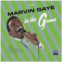 CAPITO In The Groove (LP)