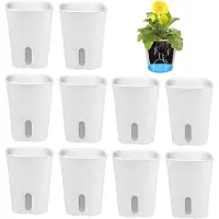 Famanu – Set van 10 zelfbewaterende bloempotten van kunststof met lontsysteem, mini-bloempotten voor kamerplanten, rond, wit