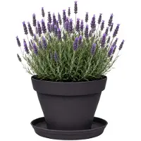 Eda Romeo Bloempot en onderschaal - D40 x H31 cm - antraciet - kunststof - binnen en buiten