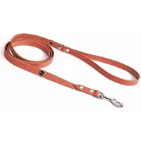 Bura Hexa Stadshondenlijn 10mm Breed, 1.8m Lang, Perzik