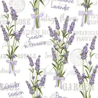 Daisy 40 Servetten - Lavendel met strik - Tekst - Lavender Season in Provence - Kleurrijk - Op een witte achtergrond - Paars - Groen - Grijs - 33 x 33 cm - 3-Laags -