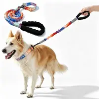 Famanu – Lange hondenriem met schokdemper, anti-treklijn inclusief halsband voor middelgrote en grote honden
