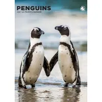 CalendarsRUs Pinguin A3 Kalender 2027