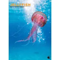 CalendarsRUs Kwallen A3 Kalender 2027