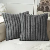 Famanu – Set van 2 pluche fluwelen kussenhoezen, zachte en moderne kussenhoezen, comfortabel en wasbaar, voor woonkamer en slaapkamer, 40 x 40 cm