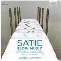 Brilliant Slow music - 2 LP