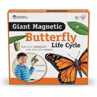 Learning Resources Reuze magnetische levenscyclus van een vlinder