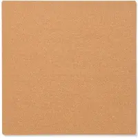 HEMA Prikbord 35x35cm Basis