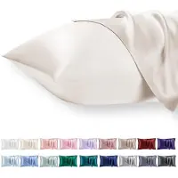 Famanu – Set van 2 satijnen kussenslopen 40x80 cm, zacht als zijde, met ritssluiting, beige ecru, ideaal voor krullend haar