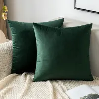 Famanu – Fluwelen kussenhoes van 45 x 45 cm, decoratief voor bank en slaapkamer, donkergroen met verborgen ritssluiting, set van 2