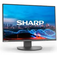 Sharp 60006210 DD-EA241W Black 24" LCD monitor WUXGA (1920x1200) DP HDMI 150 mm height adjustable