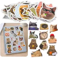 Leantoys Set kattenstickers Memes decoratief verschillende motieven 50 stuks. 7-8 Cm