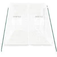 vidaXL Tuinkas met stalen frame 8 m² 4x2x2 m