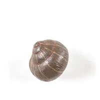 Seletti Sleeping Snail Kledinghanger Coloured