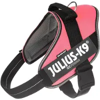 JULIUS K-9 IDC Powair Pink - Maat XL