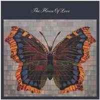 Import House Of Love