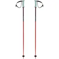 Völkl Phantastick 16 Mm Stokken