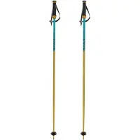 Völkl Phantastick 16 Mm Stokken
