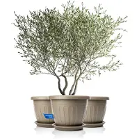 Famanu – Set van 3 bloempotten met onderzetter, rond, ø50 x h38 cm, mokka/bruin, weerbestendige plantenbak van onbreekbare kunststof, waterafvoer, UV-bestendig, geschikt voor binnen en buiten