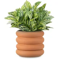 Famanu – Terracotta bloempot met schoteltje, 16 cm diameter, 14 cm hoog, geribbeld design voor binnen