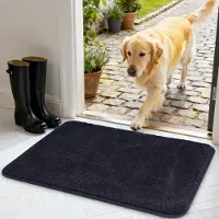 Famanu – Absorberende en antislip deurmat voor binnen, 50x80 cm, machinewasbaar