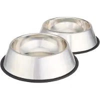 Famanu – Hondenbak van roestvrij staal, set van 2 stuks, met een inhoud van 946 ml, zilverkleurig, ideaal voor voedsel en water
