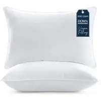 Famanu Bedding Premie Kussen (Set van 2), 50 x 70 cm Beddenkussens, Zachte Stof met Holle Vezelvulling (Wit)