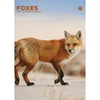 CalendarsRUs Vossen A3 Kalender 2027