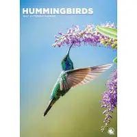CalendarsRUs Kolibrie A3 Kalender 2027