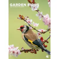 CalendarsRUs Tuinvogels A3 Kalender 2027