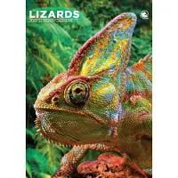 CalendarsRUs Hagedissen A3 Kalender 2027