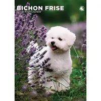 CalendarsRUs Bichon Frise A3 Kalender 2027
