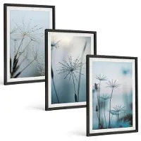 Wallfluent 3-Delige Schilderij Set - Fijne Paardenbloemen Met Waterdruppels - 40 x 60 cm - Decoratieve Muurdecoratie - Slaapkamer - Interieur Decoratie