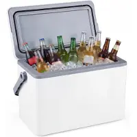 KOMFOTTEU Koelbox - thermisch beveiligd - 12 L - inhoud voor 3 dagen - voorzien van een comfortabel handvat - voor kamperen, picknicks of festivals