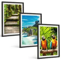 Wallfluent 3-Delige Schilderij Set - Tropisch Bos Met Waterval En Kleurrijke Papegaaien - 40 x 60 cm - Stijlvolle Muurdecoratie - Kantoor