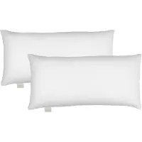 Famanu – Hoofdkussen set van 2 stuks, 40 x 80 cm, beddengoed van 100% microvezel, wasbaar, wit, ideaal voor een goede nachtrust