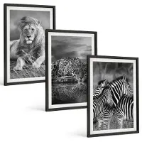Wallfluent 3-Delige Schilderij Set - Wilde Dieren Van De Savanne: Leeuw, Jaguar En Zebra. - 40 x 60 cm - Muurdecoratie - Decoratieve Schilderijen - Wohnzimmer - Woonkamer Decoratie