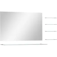 vidaXL Wandspiegel met 5 schappen 100x60 cm zilverkleurig