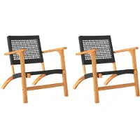vidaXL Tuinstoelen, 2 stuks, zwart, van polyrotan en acaciahout