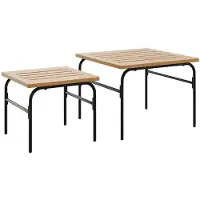 vidaXL 2-delige Tuintafeltjesset staal bruin en zwart